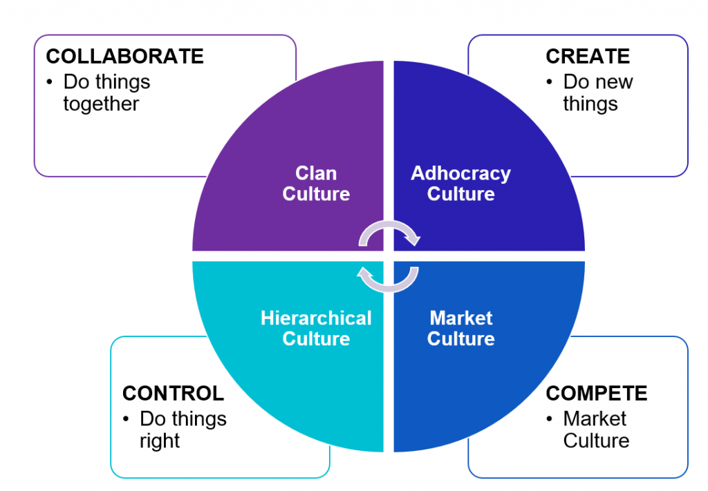 Diagnosing and Influencing Culture